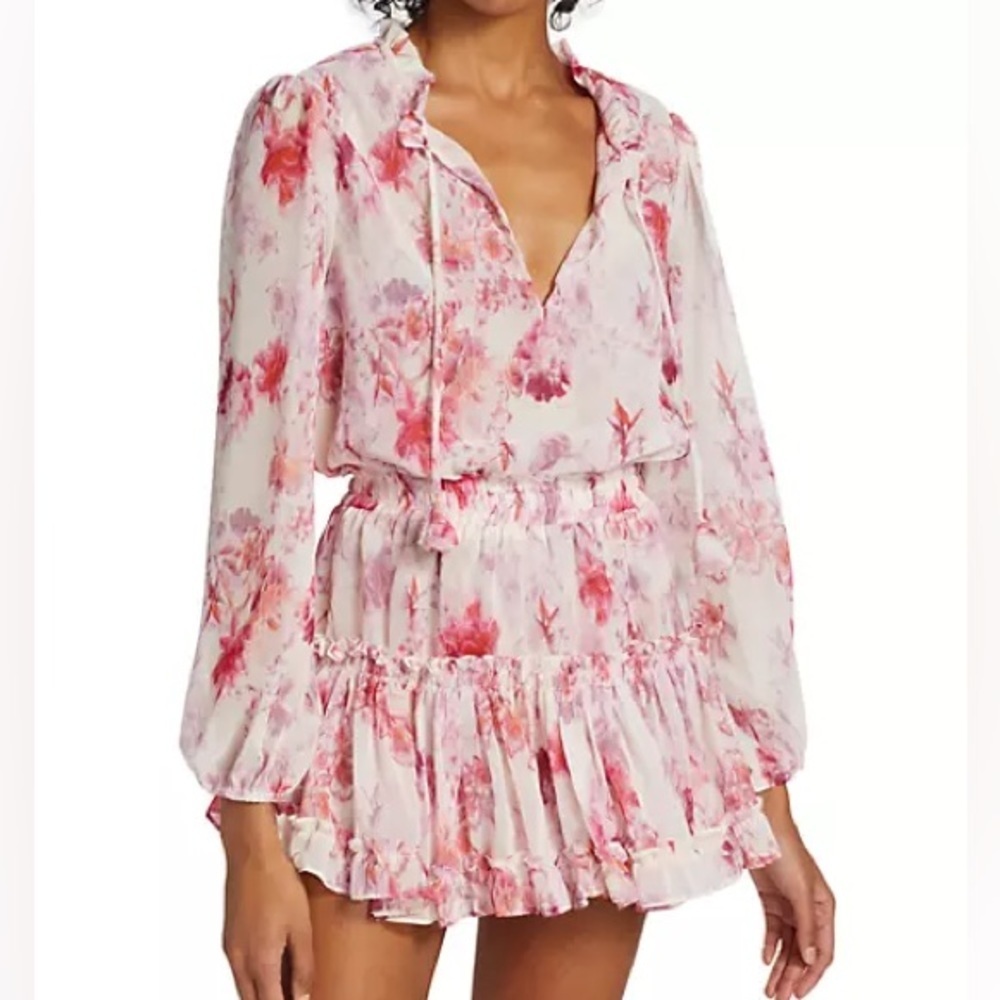 Misa Los Angeles Lorena Dress in Abstract Rose Flora - Picture 4 of 12